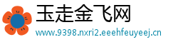 玉走金飞网